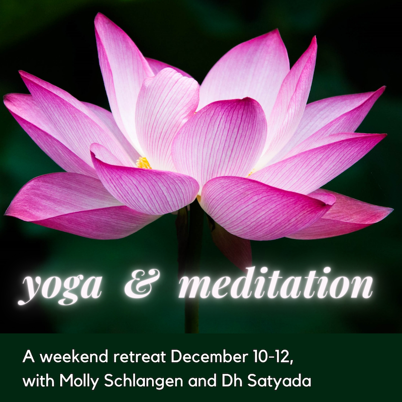 yoga and meditation weekend