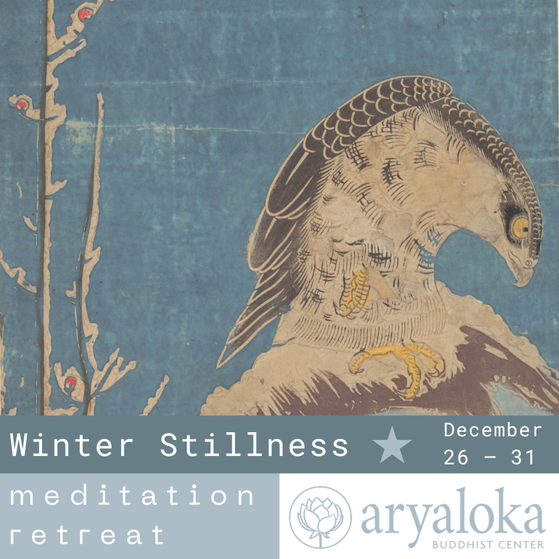 winter stillness 2026