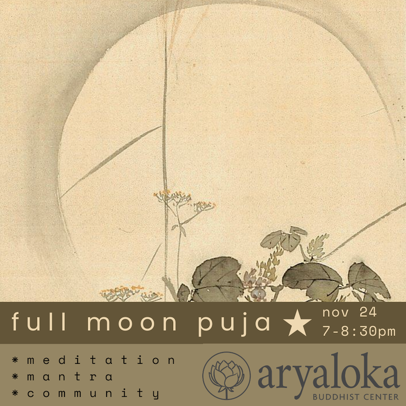 full moon November