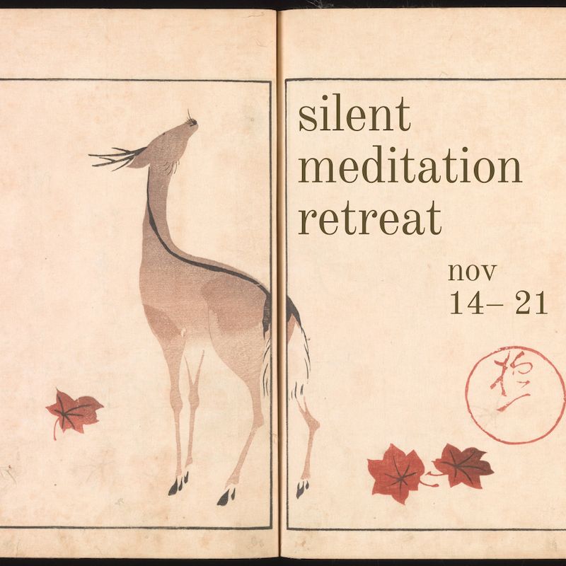 noble silence deer