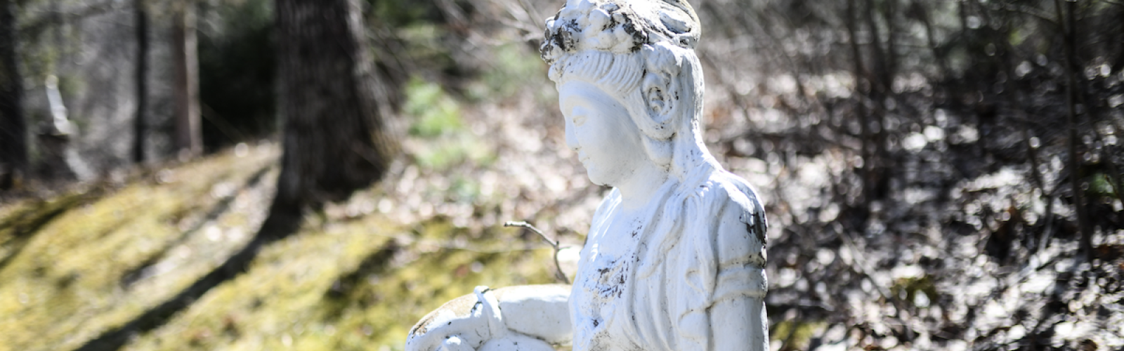 Kuan Yin in the back garden