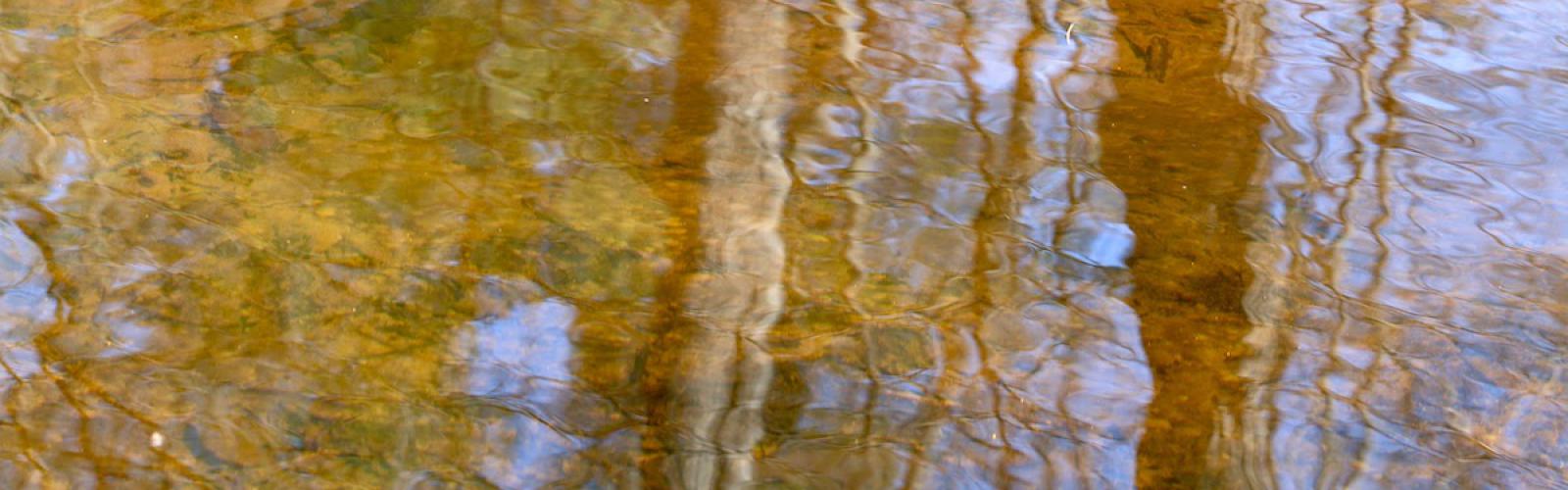 Fall foliage reflected in the river