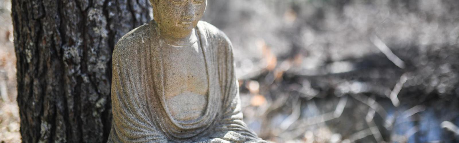 Buddha figure