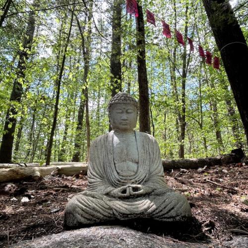 Amitabha Rupa 